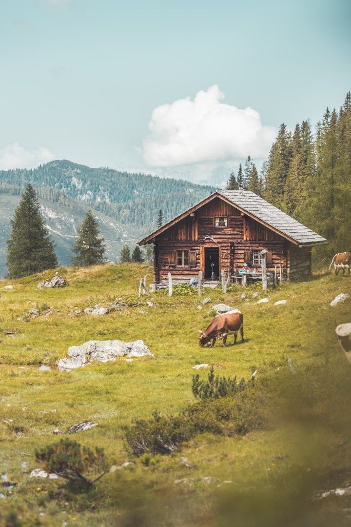Rustikale Almchalet