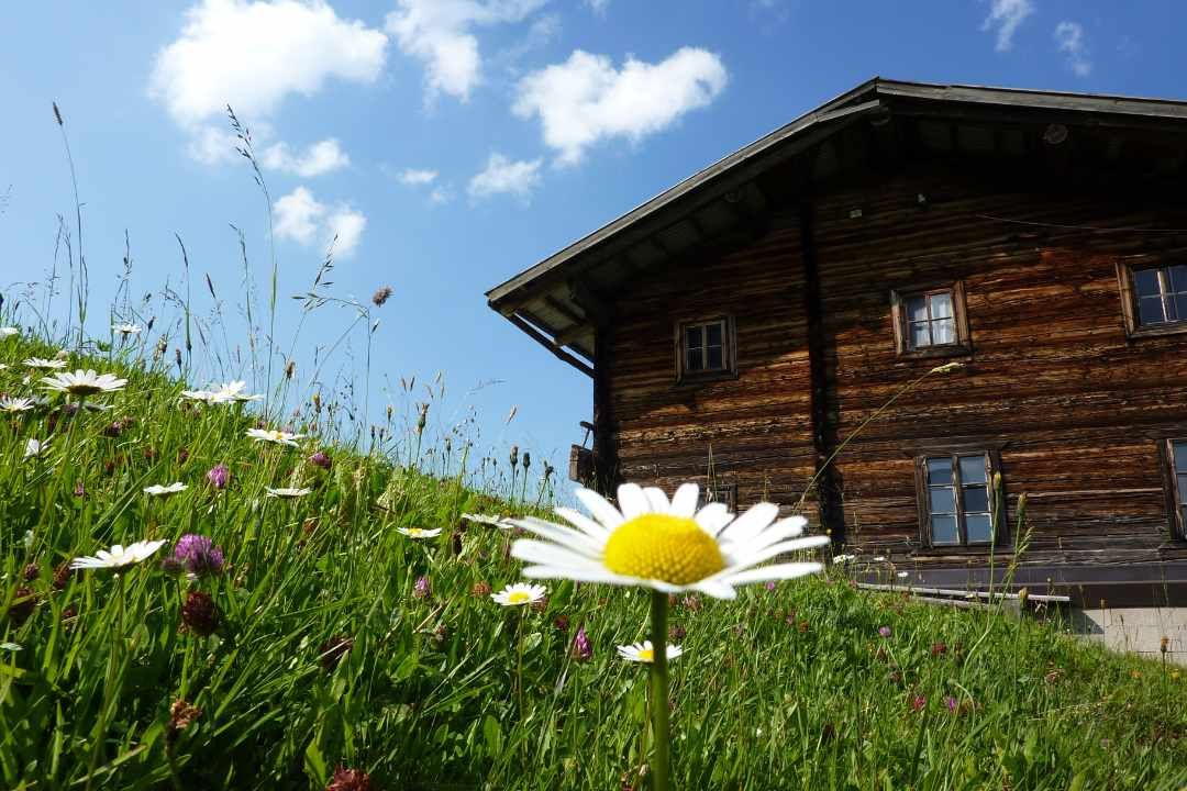 Chalet auf einer grünen Almwiese im Salzburger Land